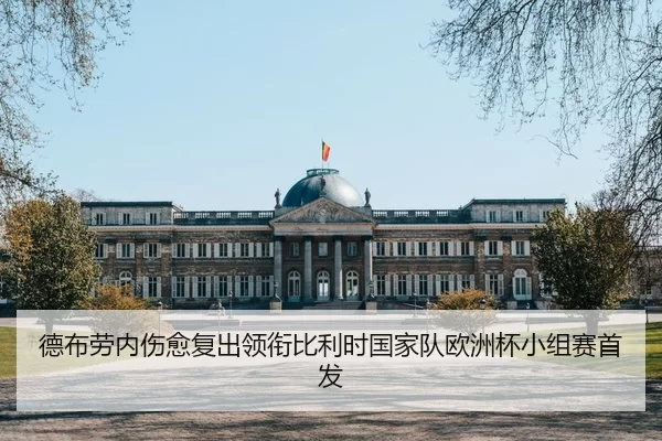 de-bu-lao-nei-shang-yu-fu-chu-ling-xian-bi-li-shi-guo-jia-dui-ou-zhou-bei-xiao-zu-sai-shou-fa-2-682.jpg