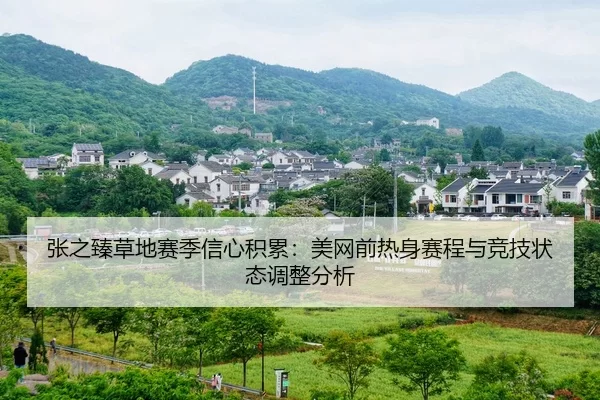zhang-zhi-zhen-cao-di-sai-ji-xin-xin-ji-lei-mei-wang-qian-re-shen-sai-cheng-yu-jing-ji-zhuang-tai-tiao-zheng-fen-xi-2-467.jpg